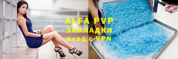 амф Алексин