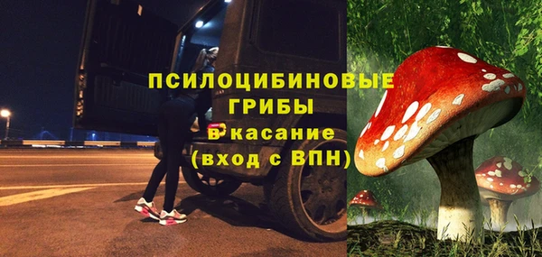 амф Алексин