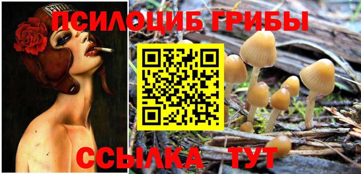 Псилоцибиновые грибы мухоморы Сертолово