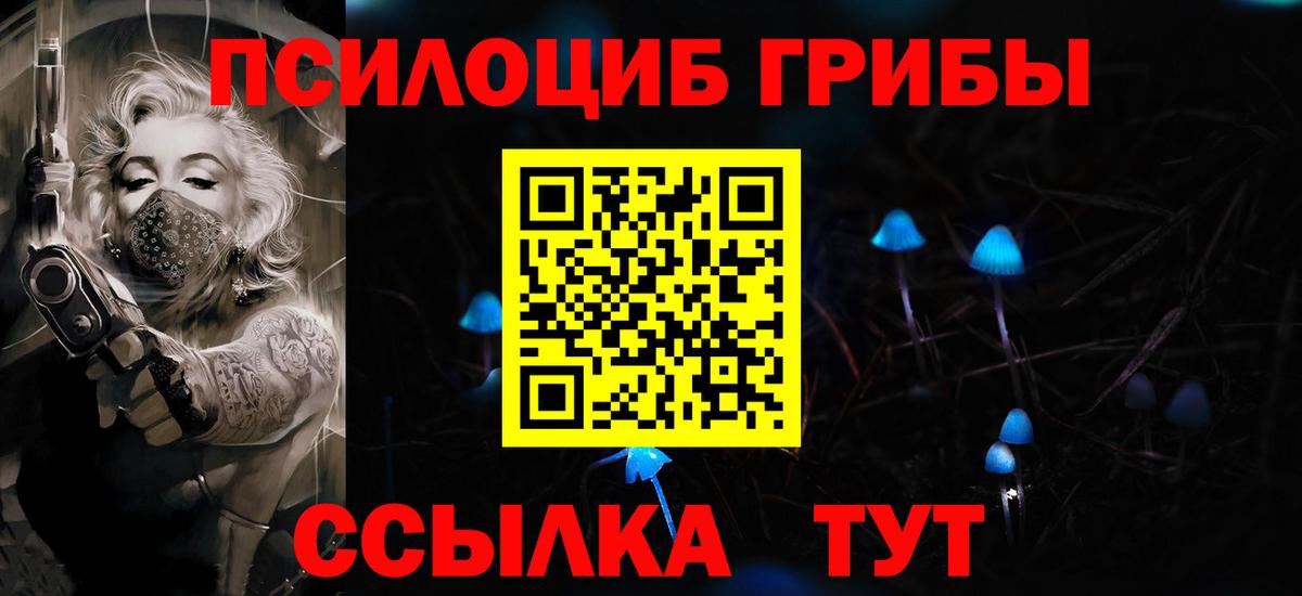 Сертолово  Псилоцибиновые грибы Cubensis  Вход с VPN 